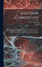 Anatomie Élémentaire: En 20 Planches Format Colombier, Représentant Chacun Un Sujet Dans Son Entier ? La Proportion De Demi-nature, Formant