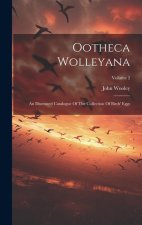 Ootheca Wolleyana: An Illustrated Catalogue Of The Collection Of Birds' Eggs; Volume 2