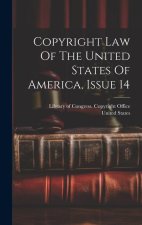 Copyright Law Of The United States Of America, Issue 14