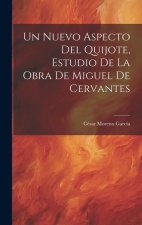 Un Nuevo Aspecto Del Quijote, Estudio De La Obra De Miguel De Cervantes