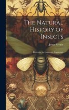 The Natural History of Insects: Illustrated by Numerous Engravings