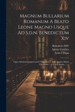 Magnum Bullarium Romanum A Beato Leone Magno Usque Ad S.d.n. Benedictum Xiv: Opus Absolutissimum Laertii Cherubini ... ? D. Angelo Maria Cherubino ...