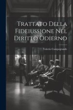 Trattato Della Fideiussione Nel Diritto Odierno