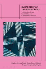 Human Rights at the Intersections: Transformation Through Local, Global, and Cosmopolitan Challenges