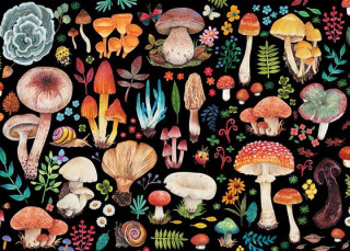 Mushrooms 1000-Piece Jigsaw Puzzle