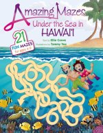 Amazing Mazes Under the Sea in Hawaii