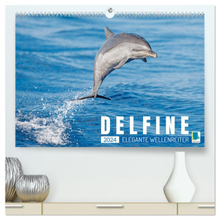 Delfine: Elegante Wellenreiter (hochwertiger Premium Wandkalender 2024 DIN A2 quer), Kunstdruck in Hochglanz