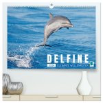 Delfine: Elegante Wellenreiter (hochwertiger Premium Wandkalender 2024 DIN A2 quer), Kunstdruck in Hochglanz