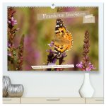 Frankens Insekten (hochwertiger Premium Wandkalender 2024 DIN A2 quer), Kunstdruck in Hochglanz