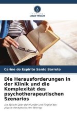 Die Herausforderungen in der Klinik und die Komplexität des psychotherapeutischen Szenarios