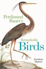 Ferdinand Bauer`s Remarkable Birds