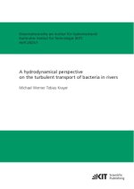 A hydrodynamical perspective on the turbulent transport of bacteria in rivers
