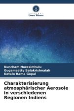 Charakterisierung atmosphärischer Aerosole in verschiedenen Regionen Indiens