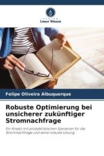 Robuste Optimierung bei unsicherer zukünftiger Stromnachfrage