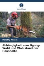 Abhängigkeit vom Ngong-Wald und Wohlstand der Haushalte