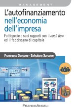 autofinanziamento nell'economia dell'impresa. Fattispecie e suoi rapporti con il cash flow ed il fabbisogno di capitale