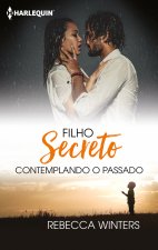 CONTEMPLANDO O PASSADO