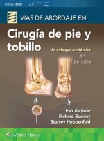 VIAS DE ABORDAJE EN CIRUGIA DE PIE Y TOBILLO 2ª ED