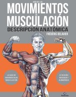 GUIA DE LOS MOVIMIENTOS DE MUSCUACION DESCRIPCION ANATOMICA