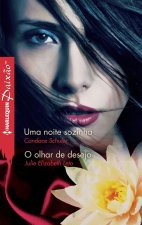 UMA NOITE SOZINHA; O OLHAR DE DESEJO