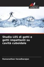 Studio LES di getti e getti impattanti su cavità cuboidale