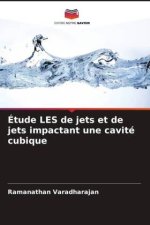 Étude LES de jets et de jets impactant une cavité cubique