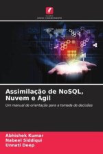 Assimilação de NoSQL, Nuvem e Ágil