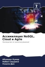 Assimilqciq NoSQL, Cloud i Agile