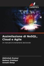 Assimilazione di NoSQL, Cloud e Agile