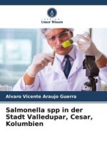 Salmonella spp in der Stadt Valledupar, Cesar, Kolumbien