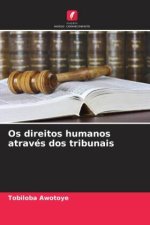 Os direitos humanos através dos tribunais
