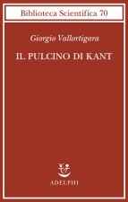pulcino di Kant