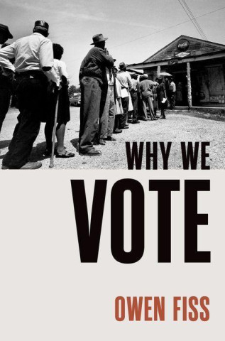 Why We Vote (Hardback)