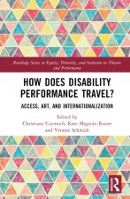 How Does Disability Performance Travel?