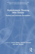 Hydrofeminist Thinking With Oceans