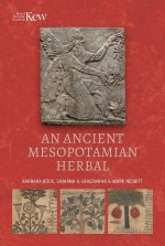 Ancient Mesopotamian