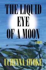 LIQUID EYE OF A MOON