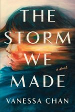 STORM WE MADE