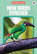 How Birds Evolved