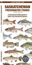 Saskatchewan Fishes: A Folding Pocket Guide to All Known Native and Introduced Freshwater Species