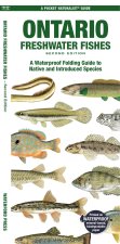 Ontario Fishes: A Folding Pocket Guide to All Known Native and Introduced Freshwater Species