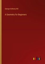A Geometry for Beginners