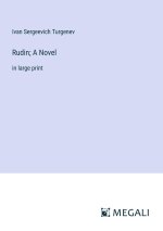 Rudin; A Novel