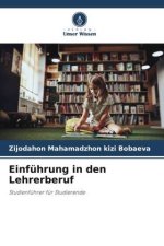 Einführung in den Lehrerberuf