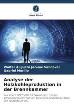 Analyse der Holzkohleproduktion in der Brennkammer