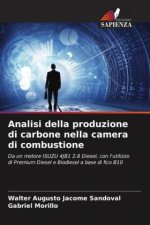 Analisi della produzione di carbone nella camera di combustione