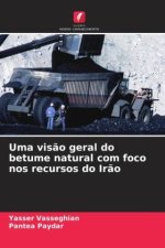 Uma vis?o geral do betume natural com foco nos recursos do Ir?o