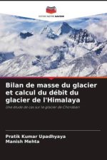Bilan de masse du glacier et calcul du débit du glacier de l'Himalaya