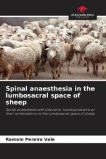Spinal anaesthesia in the lumbosacral space of sheep