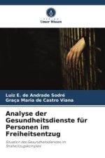 Analyse der Gesundheitsdienste für Personen im Freiheitsentzug